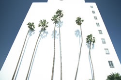 �N���j�b�N�O��